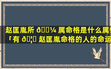 赵匡胤所 🌼 属命格是什么属性「有 🦋 赵匡胤命格的人的命运会如何」